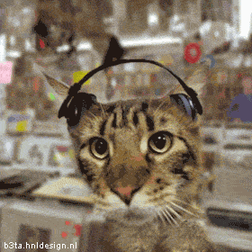 6h6ik1s.gif 6h6ik1s.gif