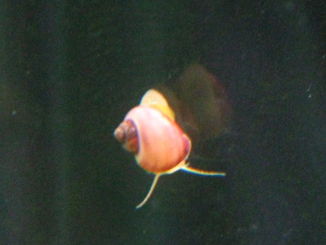 IMG_1015.JPG