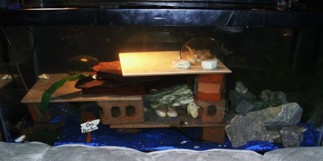 rachels pic 079.JPG