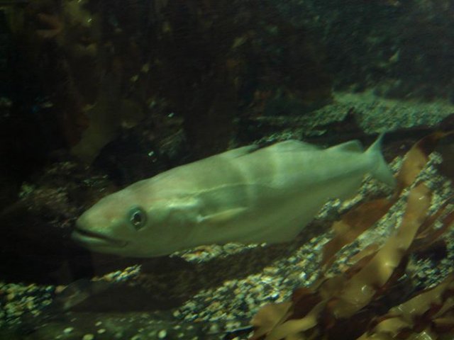 l1.jpg
