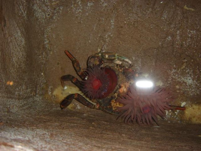 l5.jpg