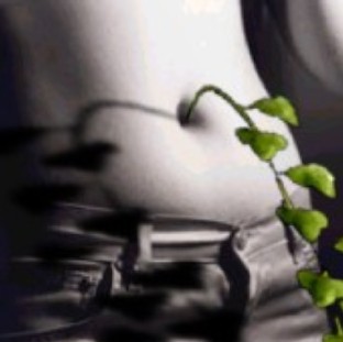 StrangeFruit%202WEB.jpg