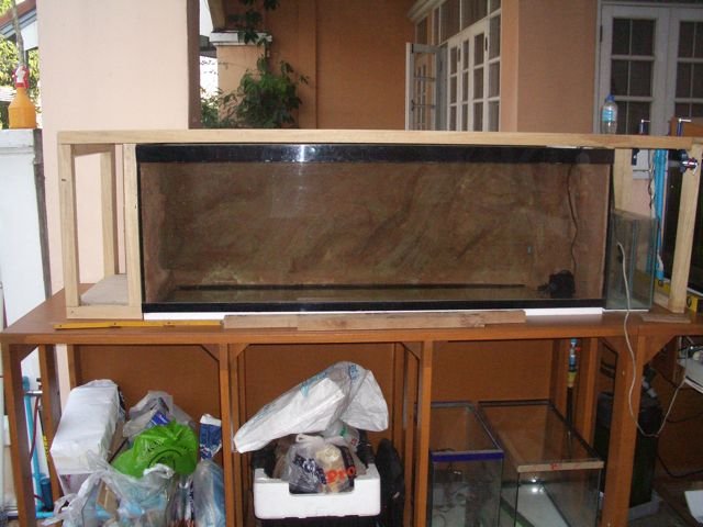 IMGP6174.jpg