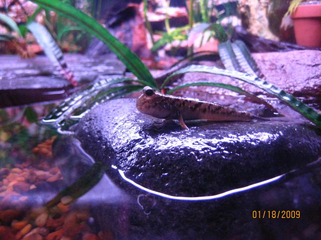 IMG_2741.JPG