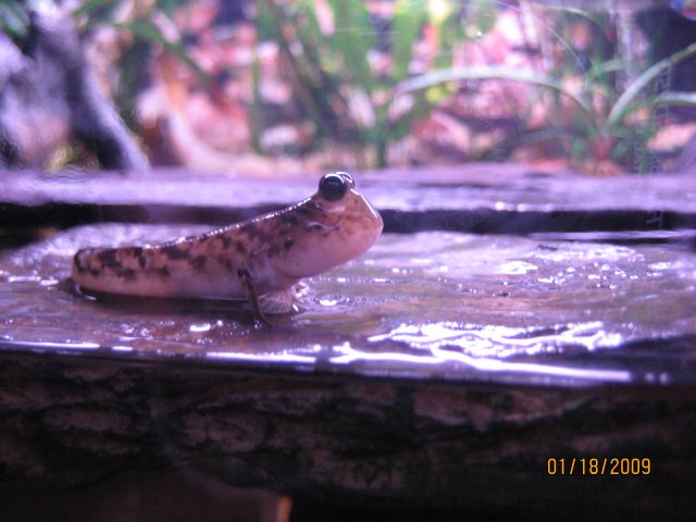 IMG_2761.JPG