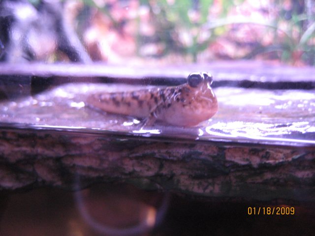 IMG_2766.JPG
