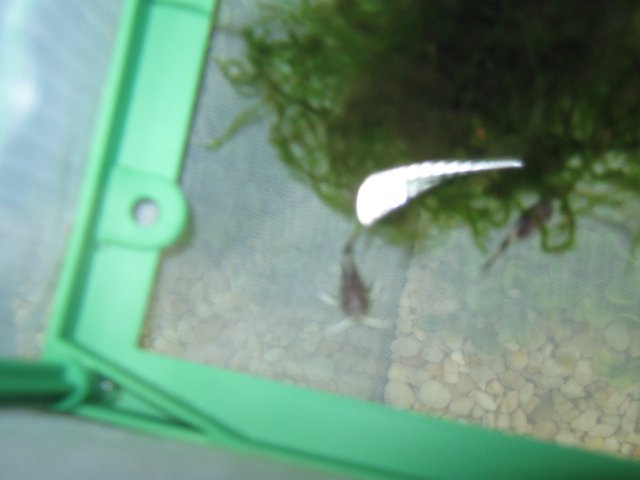 IMG_0479.jpg