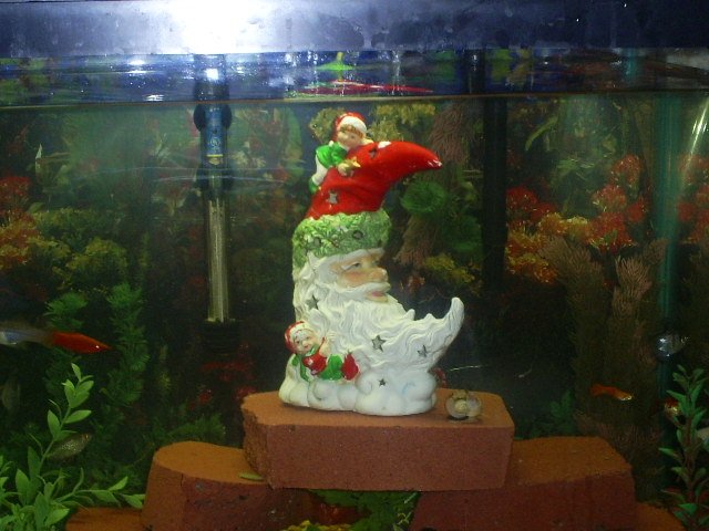 Misc Pics 007.jpg