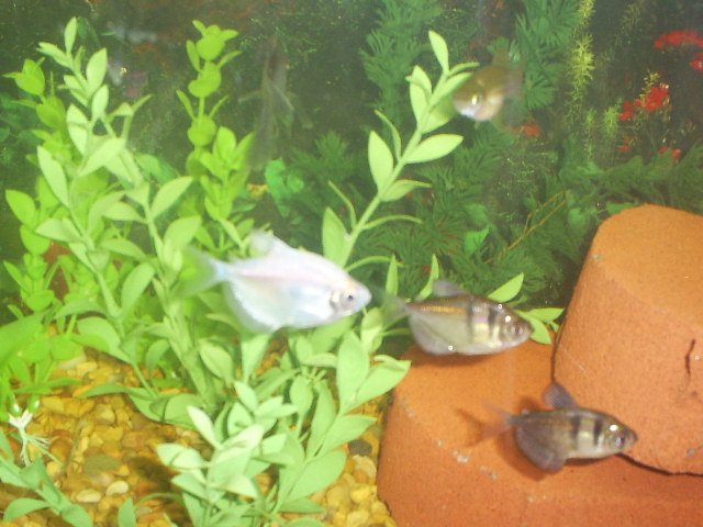 Misc Pics 028.jpg