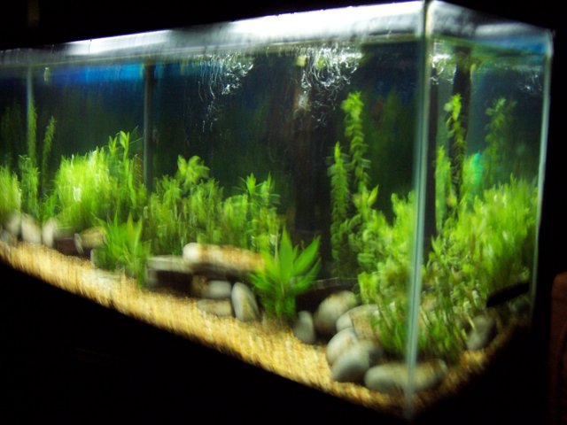 100_6073.JPG