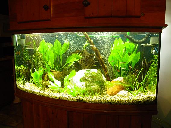 Picture 020a.JPG