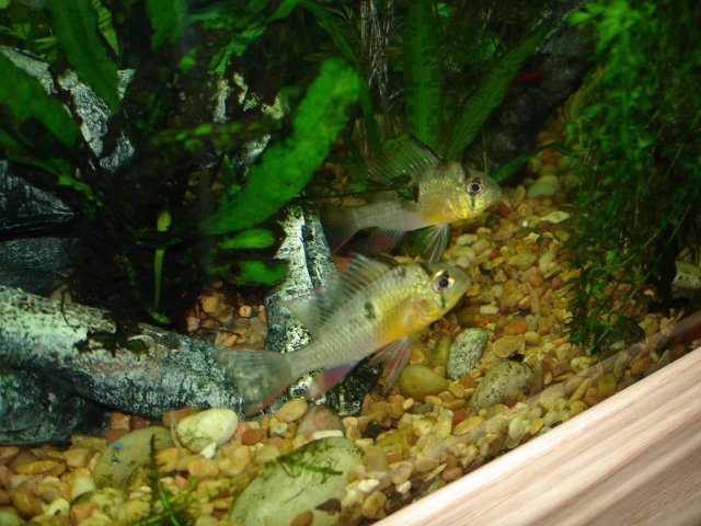 DSC01254.JPG