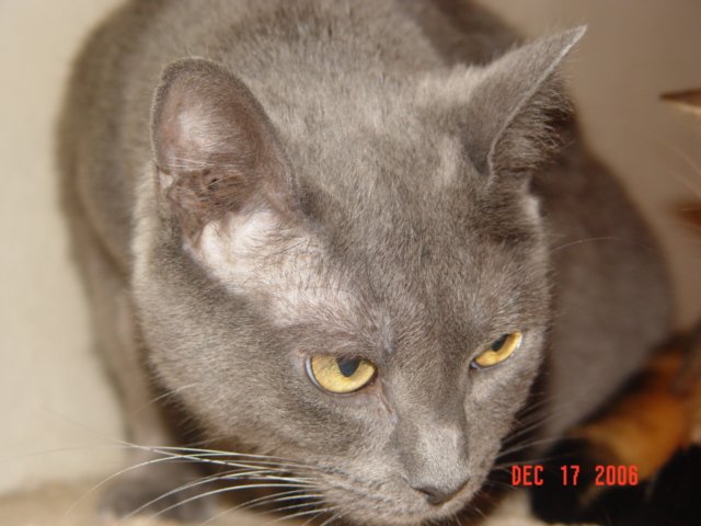 DSC01279.JPG