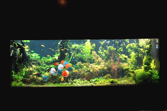 1600gallon Dec.jpg