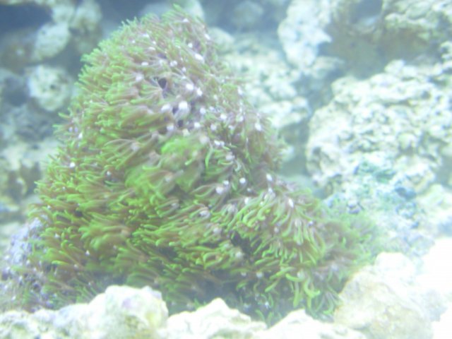DSCN1946.JPG