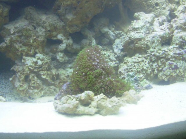 DSCN1947.JPG