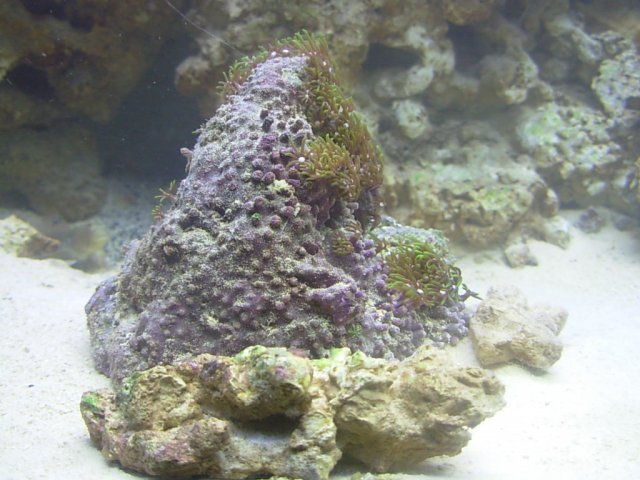 DSCN2029.JPG