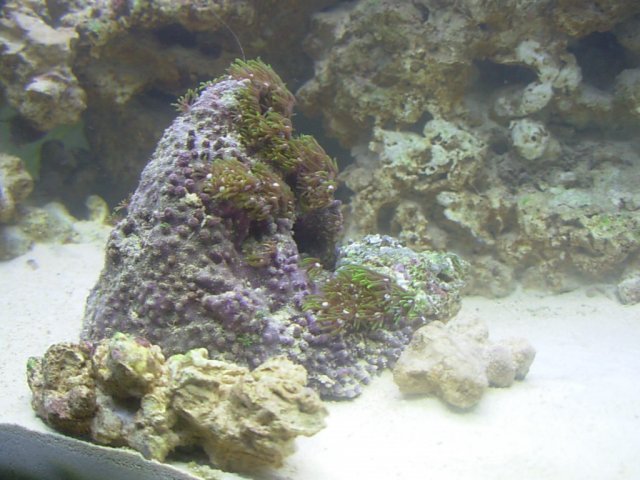 DSCN2030.JPG