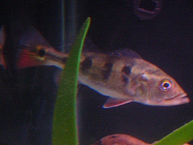 DSCN2257.JPG