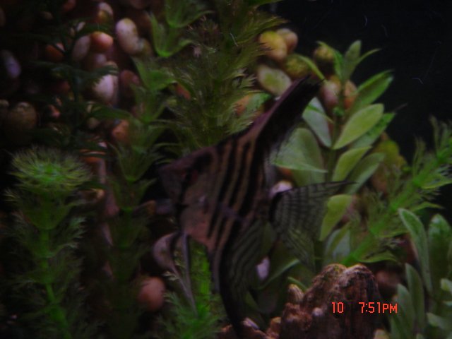 DSC01859.JPG