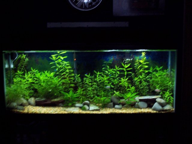 100_6122.JPG