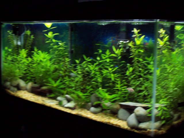 100_6126.JPG 100_6126.JPG