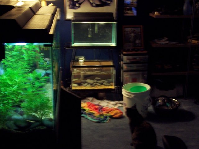 100_6233.JPG