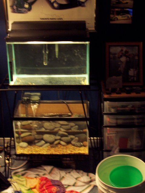 100_6234.JPG