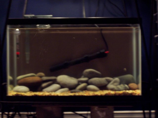 100_6239.JPG