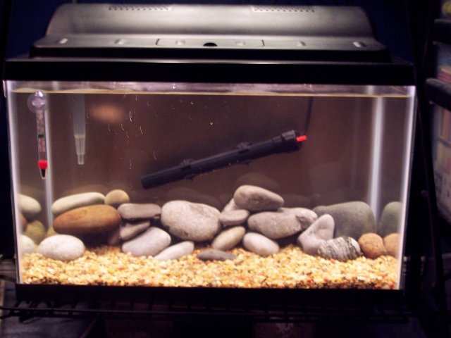 100_6240.JPG