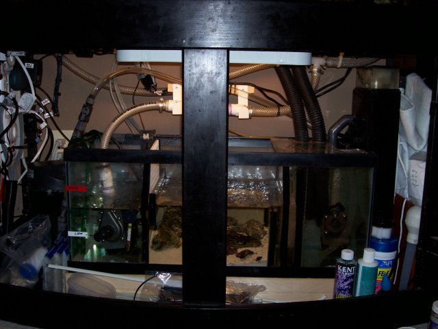 100_0182.jpg