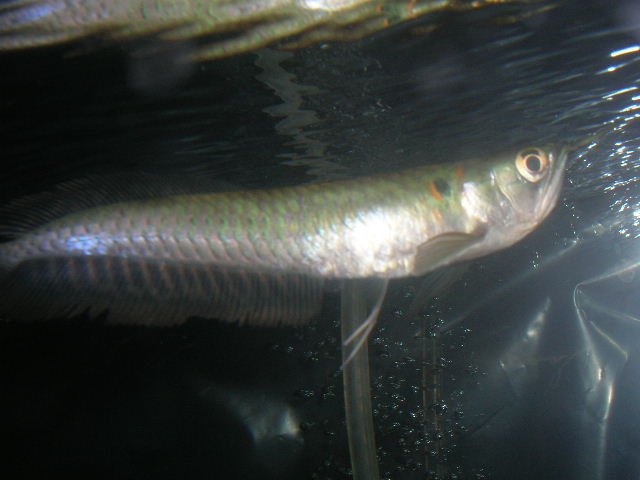 DSCN2570.JPG
