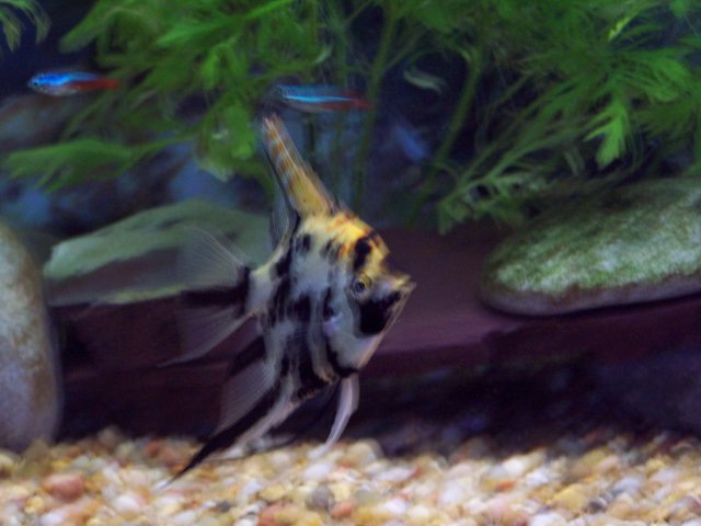 100_6259.JPG