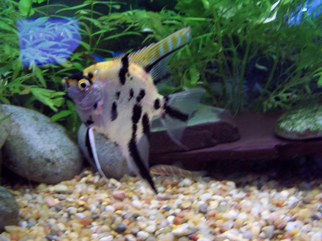 100_6262.JPG
