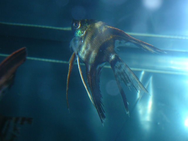 DSCN2818.JPG