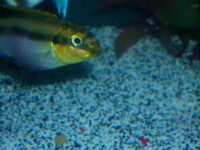 DSCN2827.JPG