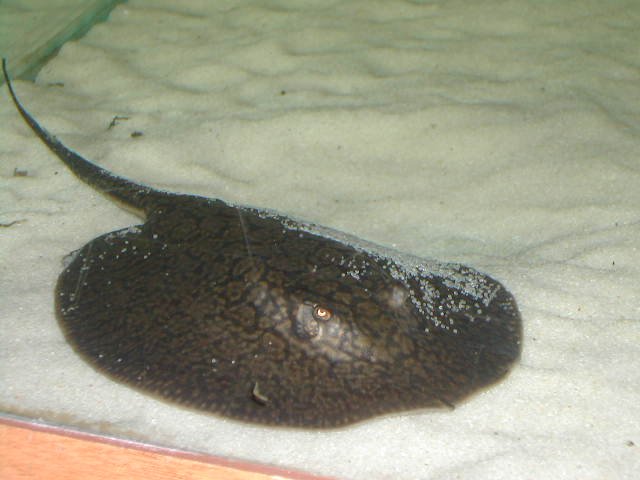 DSCN3836.JPG