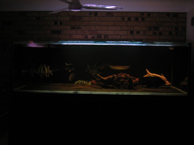 mini-Picture 018.jpg