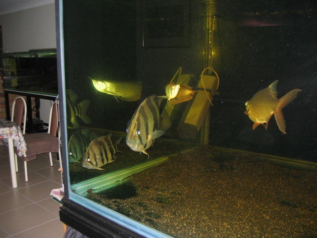 mini-Picture 022.jpg