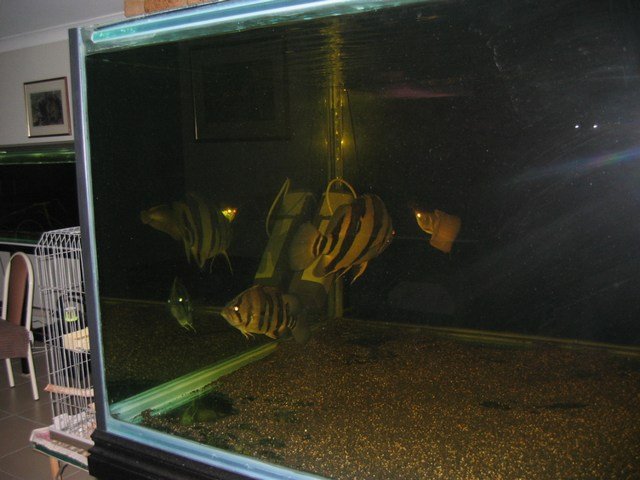 mini-Picture 025.jpg