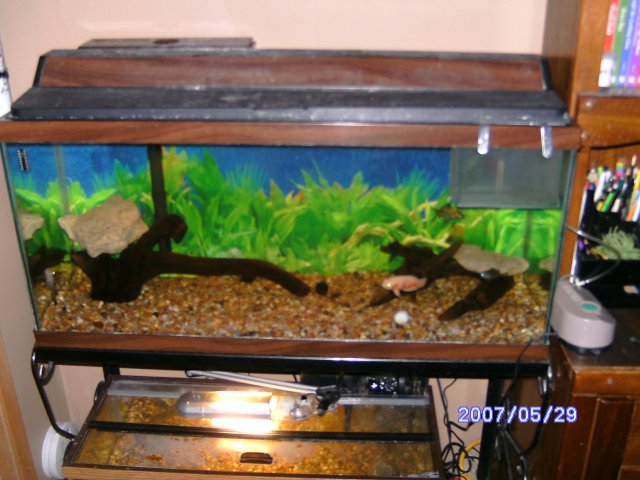 PICT1037.JPG