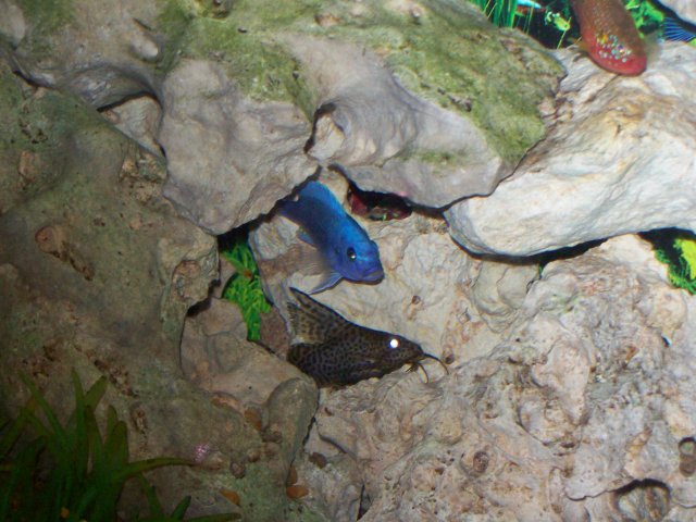 103_0149.JPG