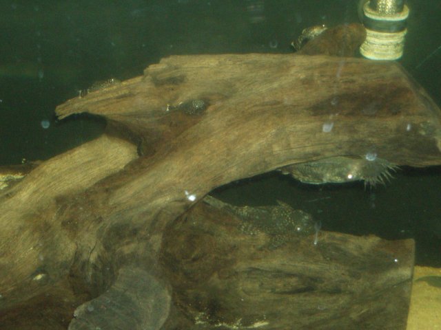 P1181363.JPG