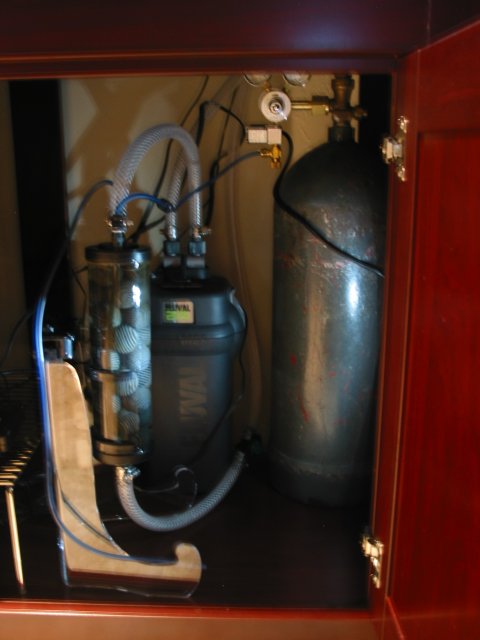 AsiaReplant6.JPG