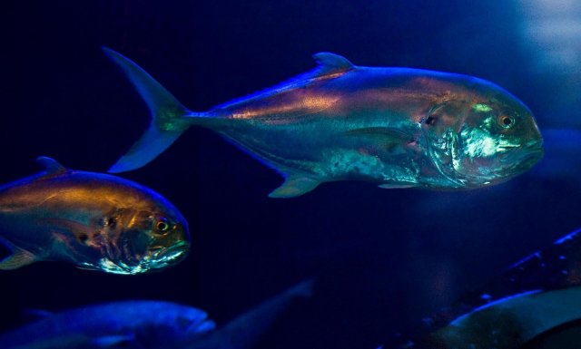 MNC_2955.jpg
