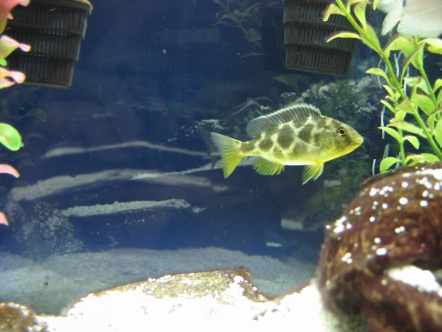 IMG_1548.jpg