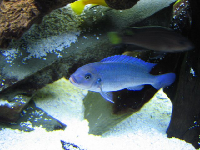 IMG_1638.jpg