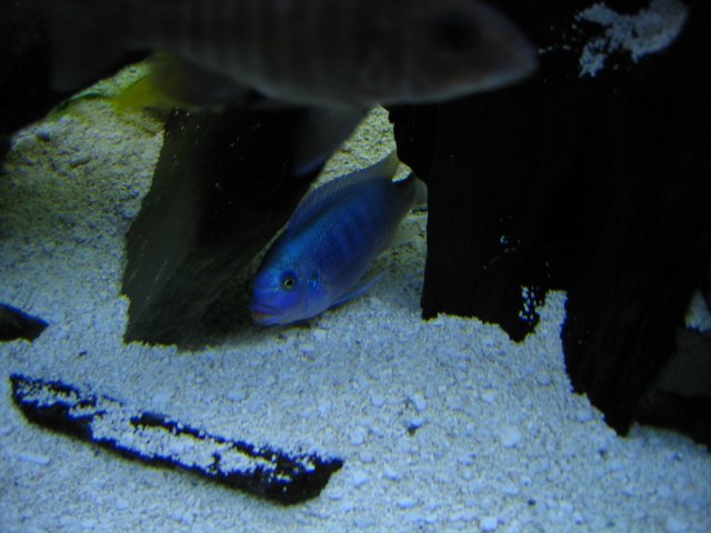 IMG_1642.jpg