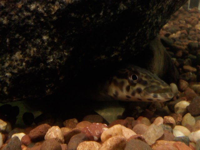 0102091502.jpg 0102091502.jpg