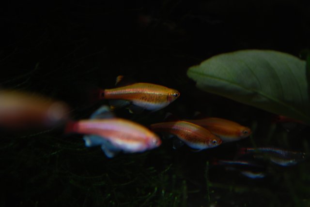 DSC_0134.JPG DSC_0134.JPG